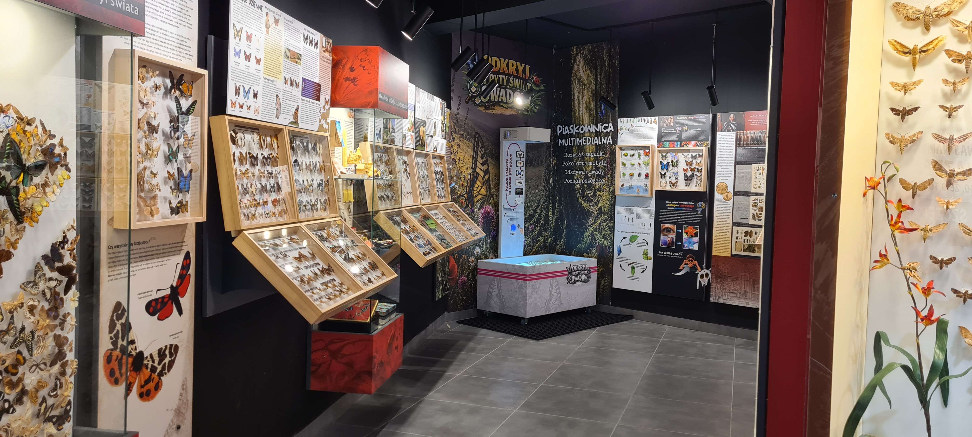 Muzeum Motyli we Władysławowie - Read more