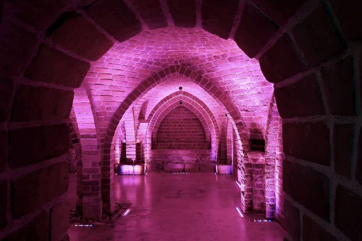 Partner: Archaeological Museum – Romanesque Cellar, Adres: ul. Pl. Dominikański 1, Gdańsk